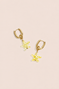 Seastar Hoops